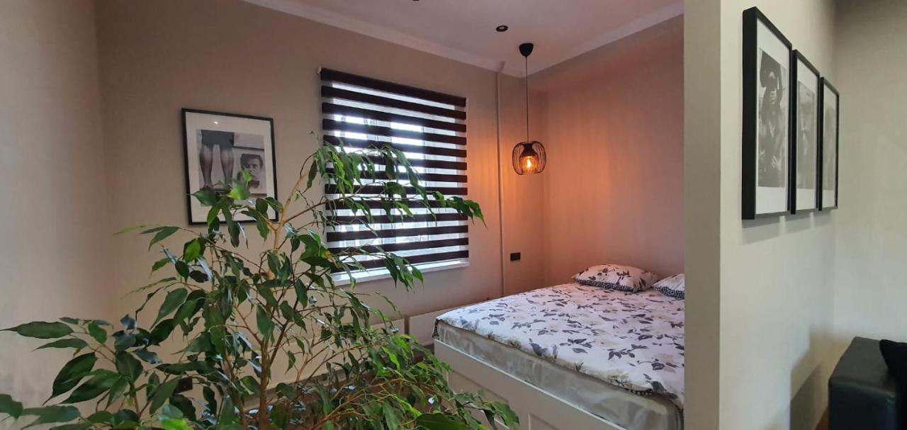 City Centre Apartment 雷泽克内 外观 照片